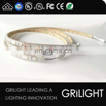 Ip67 Waterproof Smd3528 Customized Led Strip With 2 Pin Jst Connector Cable