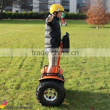 Double Wheels Outdoor Scooter and Adult Electric Personal Transportation Vehical