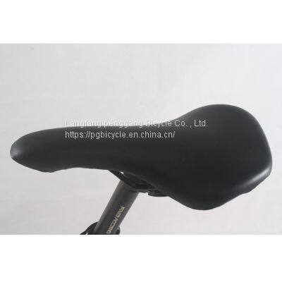 27speed 700c 19inch Carbon Fibre Road Bike