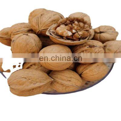 High Quality Organic Walnuts Factory Supplier Organic Walnuts 2022 2023 photo-5