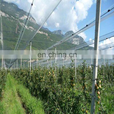 Knitted Agricultural HDPE Anti Hail Net Screenhouse for Plants Protection Fruit Apple Tree