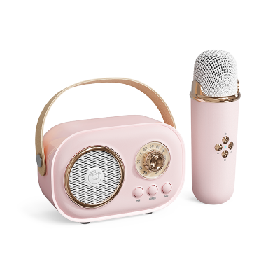 New fashion karaoke speaker with mic and bluetooth radio mp3 player bluetooth  music speaker wireless