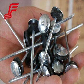 Hot Selling Galvanized Iron Umbrella Roofing Nails Cap Style With Smooth Shank for Steel Roofing Sheet Cheap Option photo-3