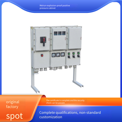 Meirun Explosion-proof Positive Pressure Ventilation Variable Frequency Cabinet, Carbon Steel Electric Control Box With High Protection Level for Isolating Hazardous Environments photo-5
