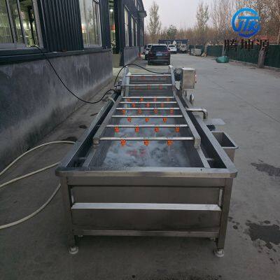 Fruit & Vegetable Bubble Washing Machine Seafood Fruit Vegetable Cleaning Equipment Vegetable Processing Line photo-4