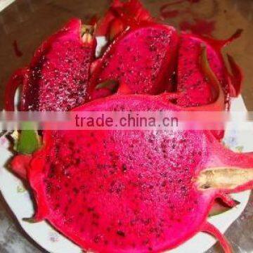 BEST QUALITY DRAGON FRUIT WITH MOST COMPETITIVE PRICE