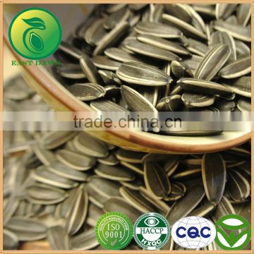 Sunflower Seeds low price peach kernel seeds in iran