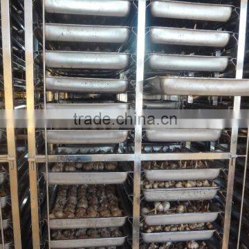 black garlic fermenter machines