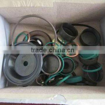 Repair Kit for Chongqing Pump CB-BH6H120YAY920,fuel pump repair kit