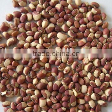 RED COWPEA