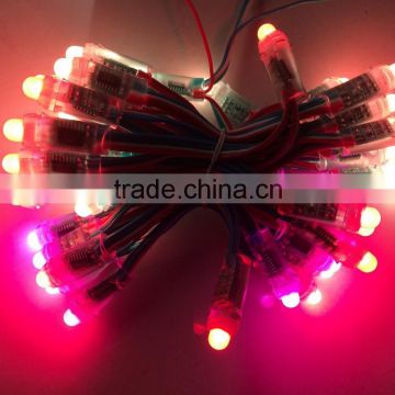 12mm ws2801 magic color led christmas string light;waterproof IP68;DC5V input;full color;50pcs a string,Round Shape