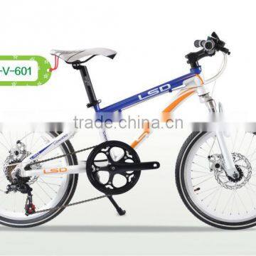 2013 New design mountain bike