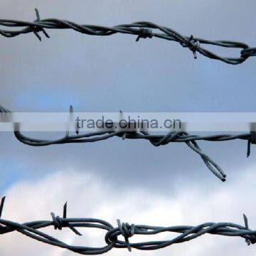 Hot Dipped Galvanized and Powder Coating Barbed Wire Hot Sale photo-2