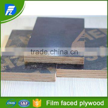 black construction plywood price