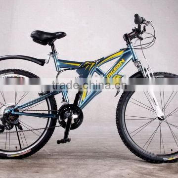 Mountain bicycle