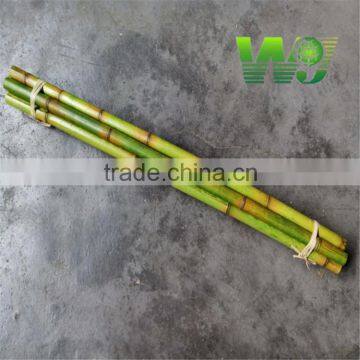 wy-z007 colored bamboo pole