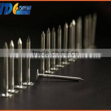 stainless steel twist concrete nails