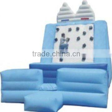 hot sale style inflatable climbing wall