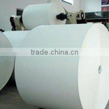 PE Coated Paper