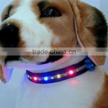 Light up Dog Collar photo-4