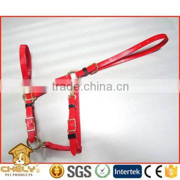 Alloy Buckle Leather Bridle Horse Equipment Custom Color