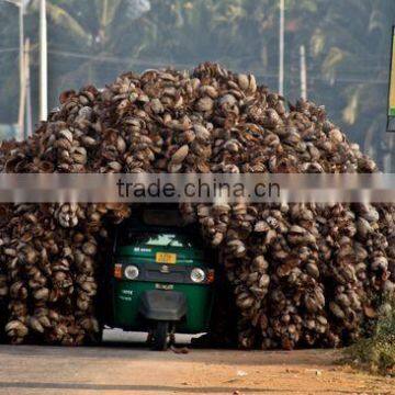 Professional Coconut Shell Fiber Bale Opening Machine Line Coconut Fiber Machine photo-4