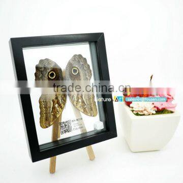 FOUSEN(039) Nature& Art natural gifts and crafts framed insects and butterflied