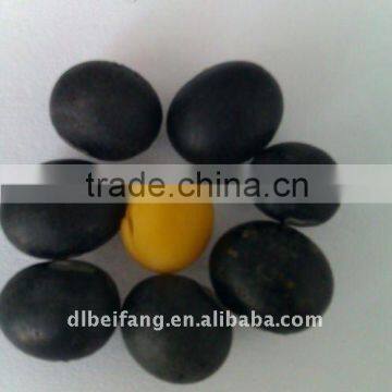 Black Soybean with Yellow Inside(Heilongjiang origin, 2011crop ,hps)