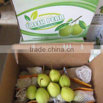 China Green pear