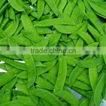 Premium Vegetables High Quality Fresh Snow Pea Snap pea