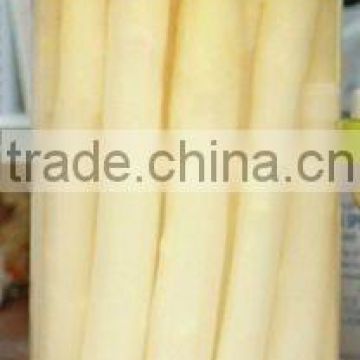 Chinese companies for canned asparagus food wholesale