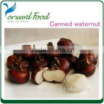 3000g Chinese origin top quality canned water chestnut