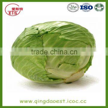 Chinese Hot Sale Fresh Cabbage With High Quality photo-4