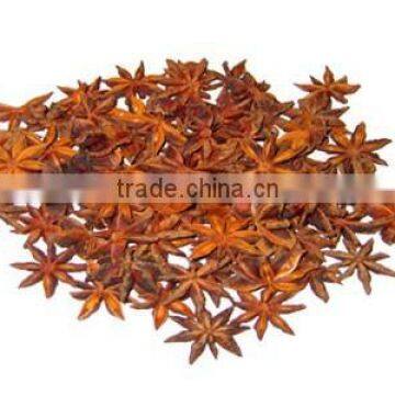 Vietnam Spring Star Anise