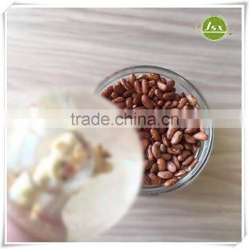 JSX New Arrival Light Speckled Kidney Beans Market Price photo-2