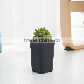 Square small black square succulent plants plastic flowerpot seeding pot