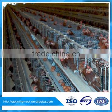 henhouse used laying hens cage for egg chicken rearing