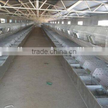 New Design High Quality Rabbit Cages for Sale ISO Certificate Rabbit Cage/vertical Cage