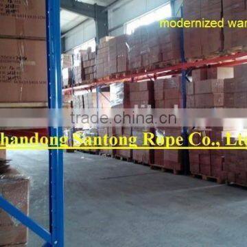 Red Nylon Lifting Rope
