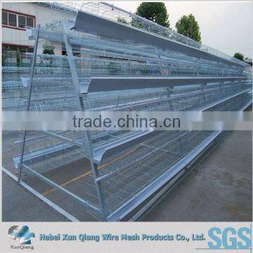 High Quality Lowest Price Chicken Wire Mesh / Bird Cage Wire Mesh photo-3