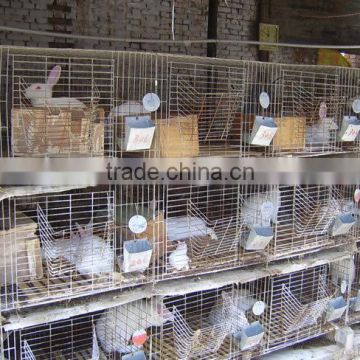 rabbit farming cage