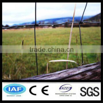 2015 hot sales economic black horse fence