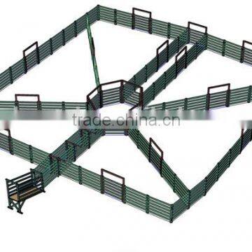 400 head steel cattle yard with headbail and loading ramp