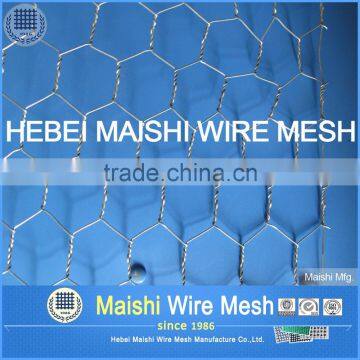 Hexagonal Wire Netting/poultry Netting photo-4