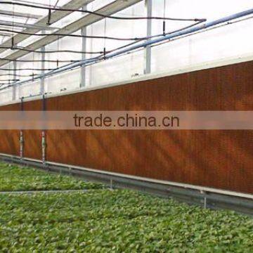 Commercial Greenhouse photo-6