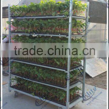 Hot Sales Metal Layer Grow Seedling Flower Trolley Cart