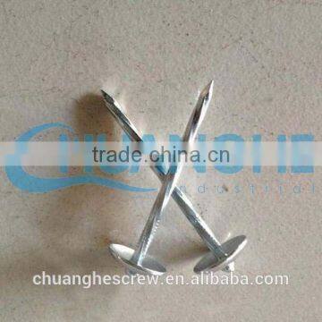 Sanfan-galvanized Thread Rolling Roofing Nails photo-5
