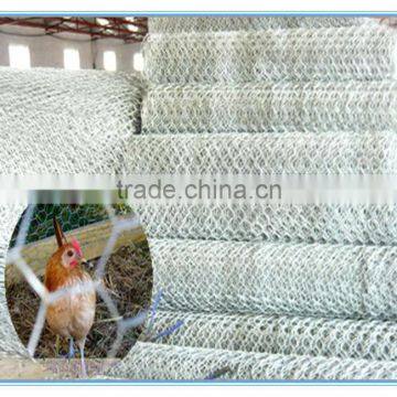 Lowest Price Chicken Wire Mesh Hot Dipped Galvanized Hexagonal Wire Mesh Made in China photo-2