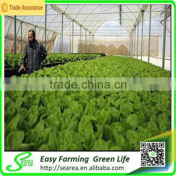Vertical Greenhouse Growing System