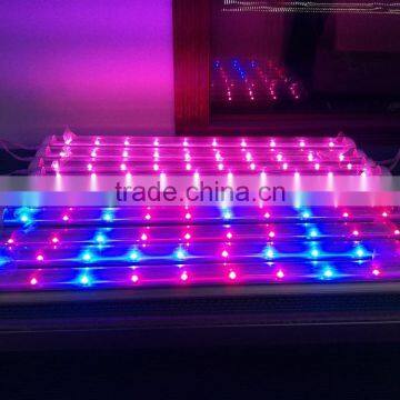 1200mm 20W led grow light tube T8 for hydroponics farm